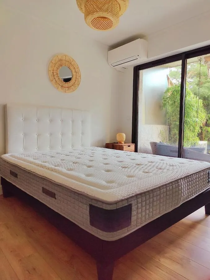 Garden Flat In Cannes Fransa